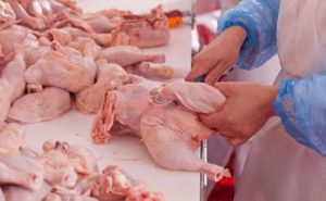 Tavuk eti üretimi 180 bin 53 ton OLDU..