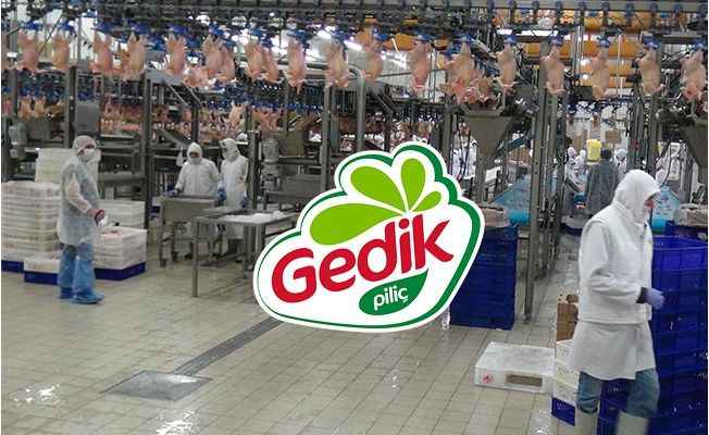 Gedik Piliç, Türkiye’de bulunan, tavuk ürünleri üreten bir firmadır. 1968 yılında faaliyete başlamıştır. 2 kesimhanesi, yem fabrikası, kuluçkahanesi ve damızlıklarıyla Uşak’ta üretim yapmaktadır.